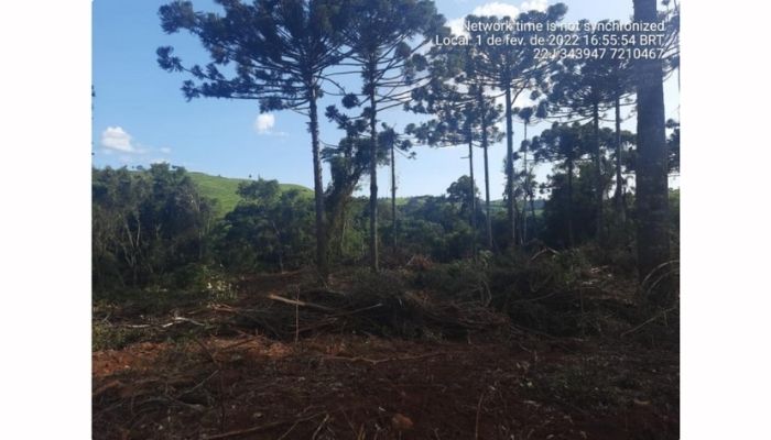 Nova Laranjeiras – Policia Ambiental flagra desmatamento de reserva ambiental no Rio Quati 